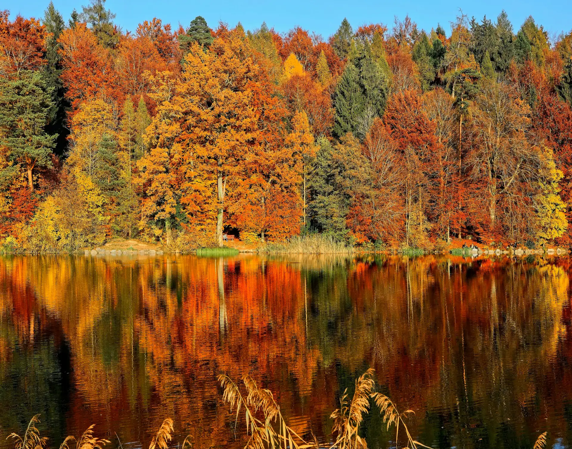Fall foliage in rural Vermont